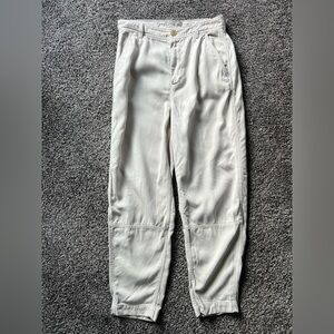 Everlane Utility Barrel Pant